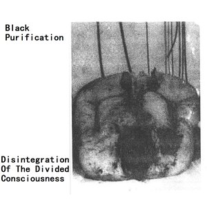 Disintegration Of The Divided Consciousness
