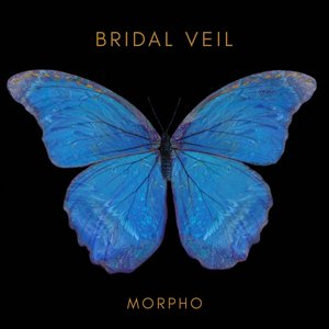 Morpho