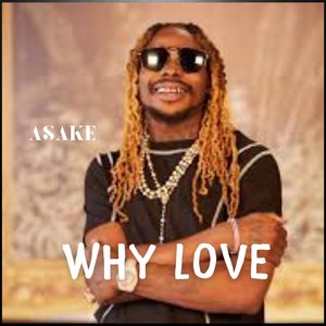 WHY LOVE - Single