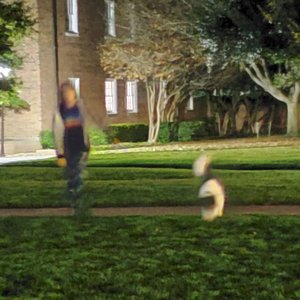 Say a Little, but Not a Lot (EP)