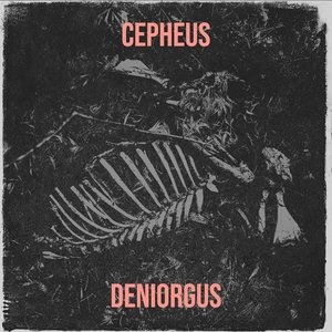 Cepheus