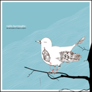 Radio Burroughs - The Principles Of Hope Or Hybris 12" [avm 027] by Radio Burroughs