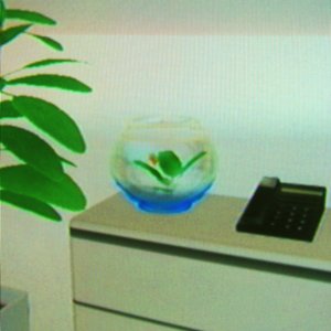 Wiiきおくにとどめる