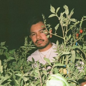 Avatar for DJ Houseplants