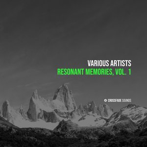 Resonant Memories