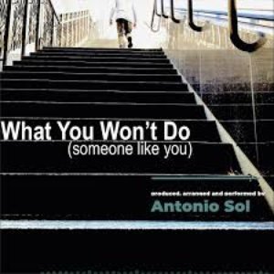 What You Won't Do (Someone Like You)