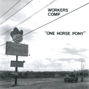 ONE HORSE PONY