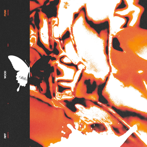 Artwork for PUNK