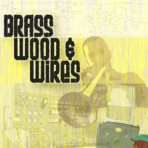 Avatar for Brass Wood & Wires