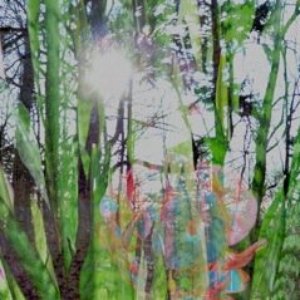 Avatar for Horticulture