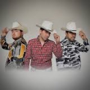 Avatar for Los Destacados De Sinaloa