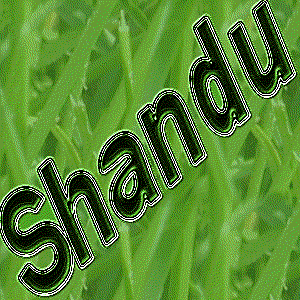Avatar for Shandu