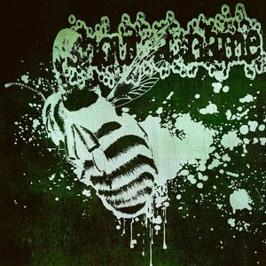Honey Is Bee Vomit