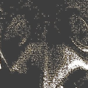 Avatar for Cam Curtis