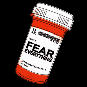 Fear Everything by The Flaming Tsunamis