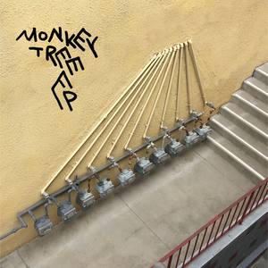 Monkeytree album cover