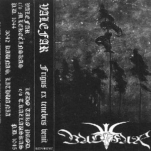 Frigus Ex Tenebris Venit
