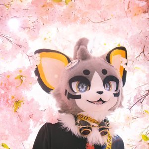 Avatar for Mantlegen