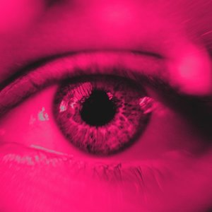 Observer