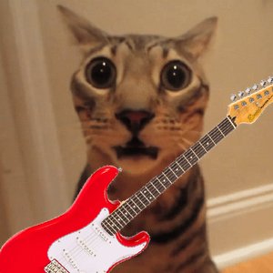 Avatar for Gioxy Music