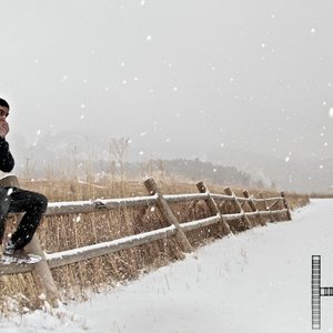 Avatar for Hollidayrain