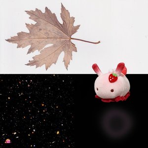 Avatar for minifauna