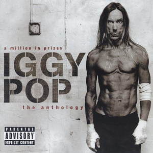 Iggy And The Stooges - I Got A Right Lyrics - Zortam Music