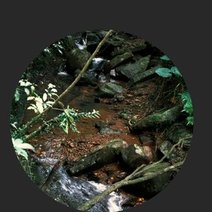Avatar for Tish'