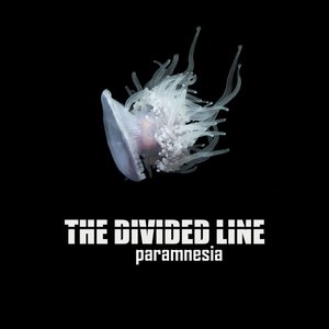 Paramnesia