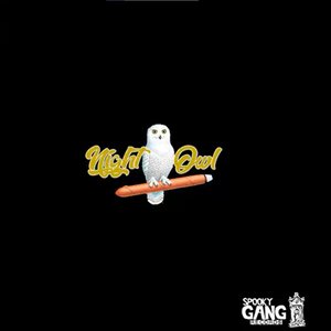 Night Owl