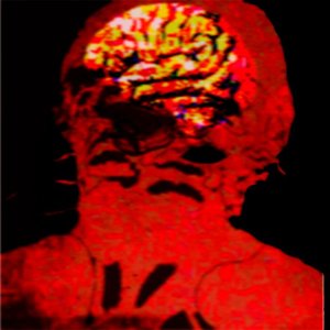 Avatar for LXPP