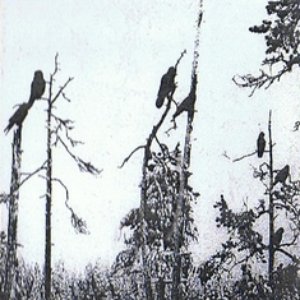 Les Corbeaux de mes Funérailles