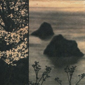 Avatar for akurise