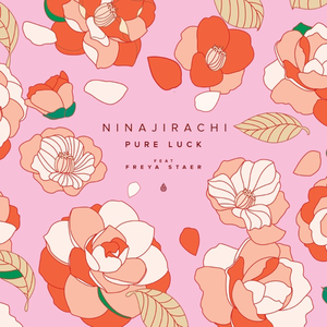 Ninajirachi