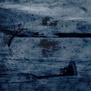 A Hundred Year Ocean