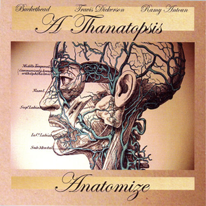 Anatomize album cover