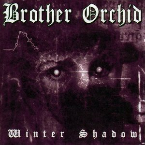 Winter Shadow