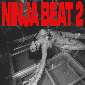 Ninja Beat 2