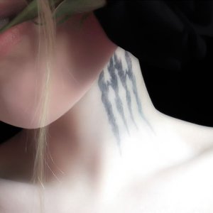 Avatar for WWWINGS