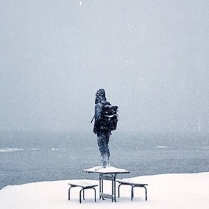 Avatar for И Дельфины...