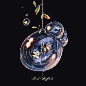 Sounds of Nature by Red Buffalo