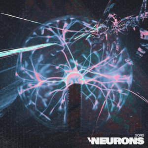 Neurons