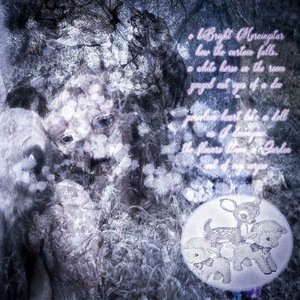 O Bright Morningstar, how the curtain falls