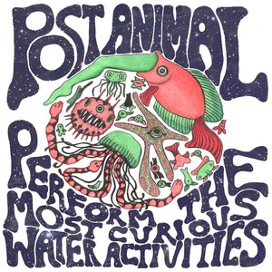 Perform the Most Curious Water Activities
