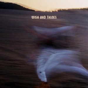 WISH BAD THINGS