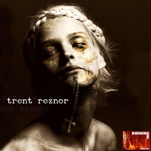 A Tribute to Nine Inch Nails [Explicit]