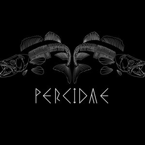 Avatar for Percidae