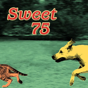 Sweet 75 album cover