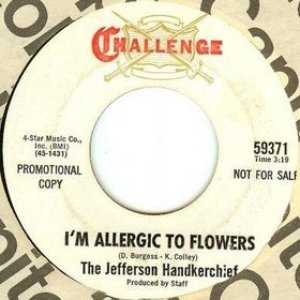 Avatar for Jefferson Handkerchief