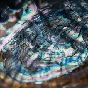 Supernova - Single